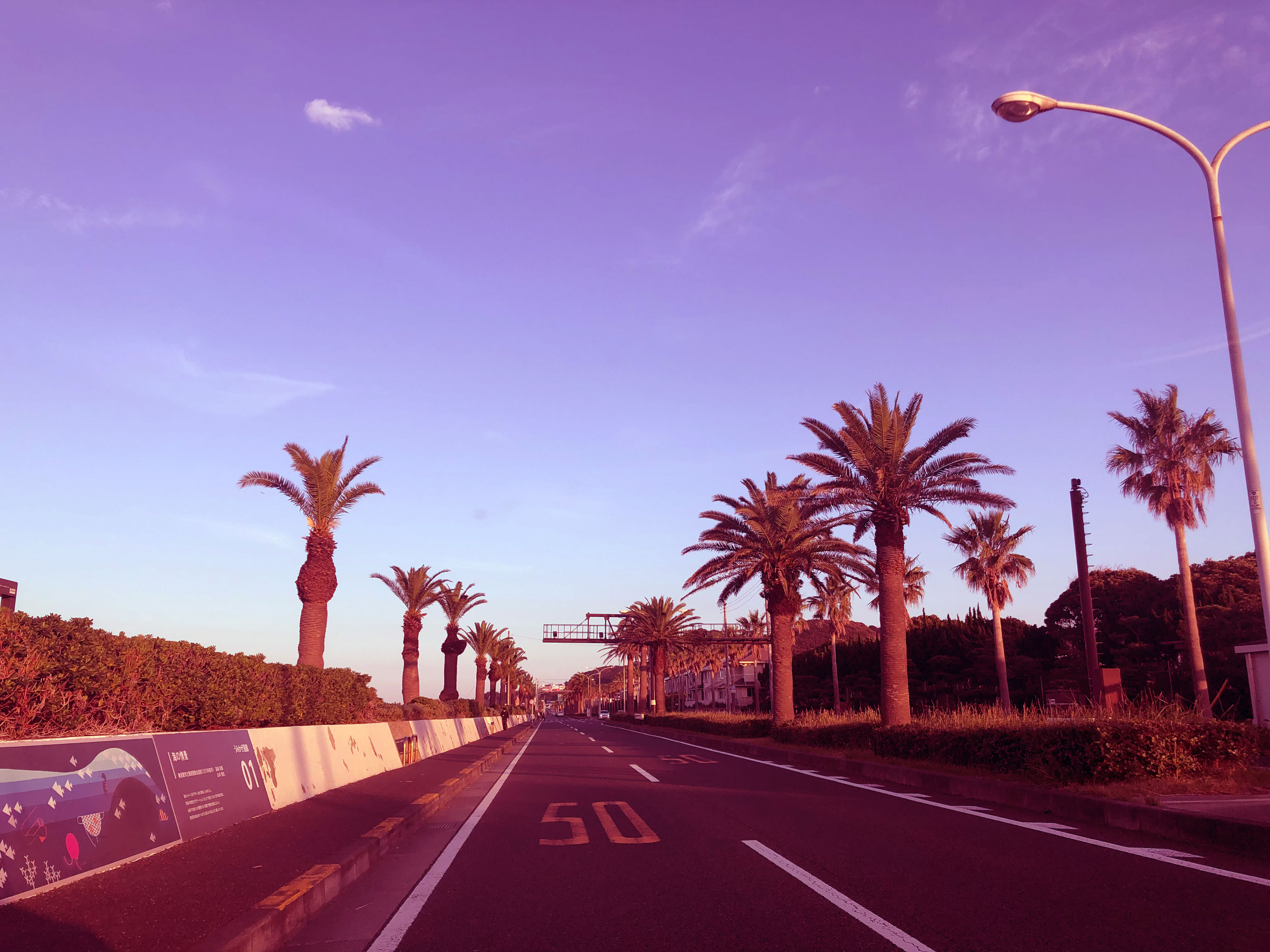 チタンオレンジ